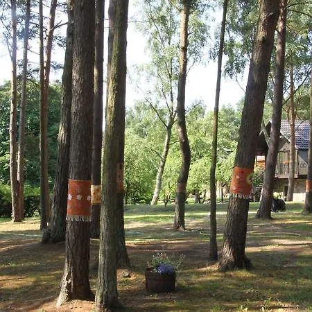 Village de vacances Verbelnieki